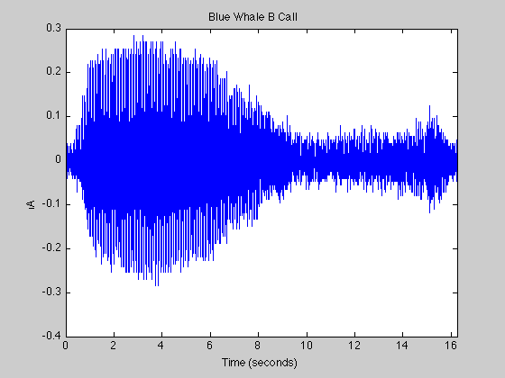 bluewhale computing sdn. bhd